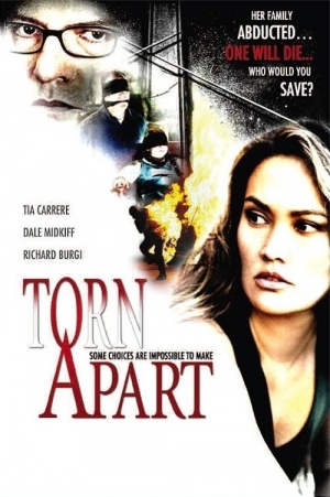 TornApart-DVD.jpg