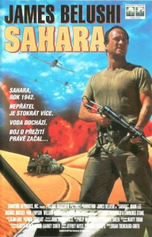 Sahara95 poster.jpg