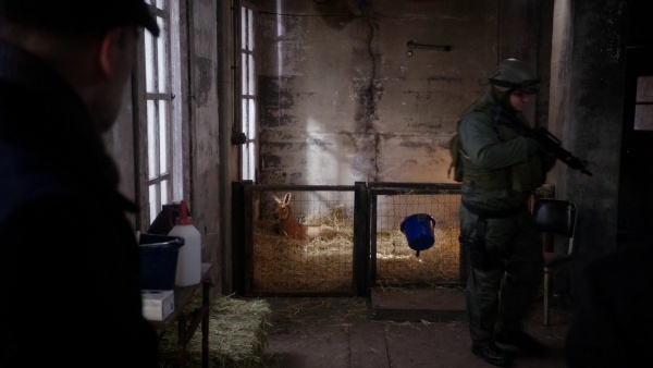 A Rocklin County SWAT officer walks away from the makeshift animal pen in "The Female of the Species".
