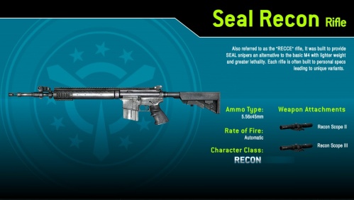 Breach Game Rifle.jpg
