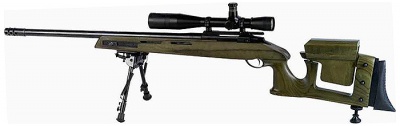 400px-GOL_Sniper_Magnum.jpg