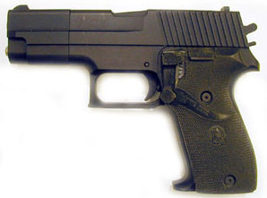 SIGnon-gun.jpg