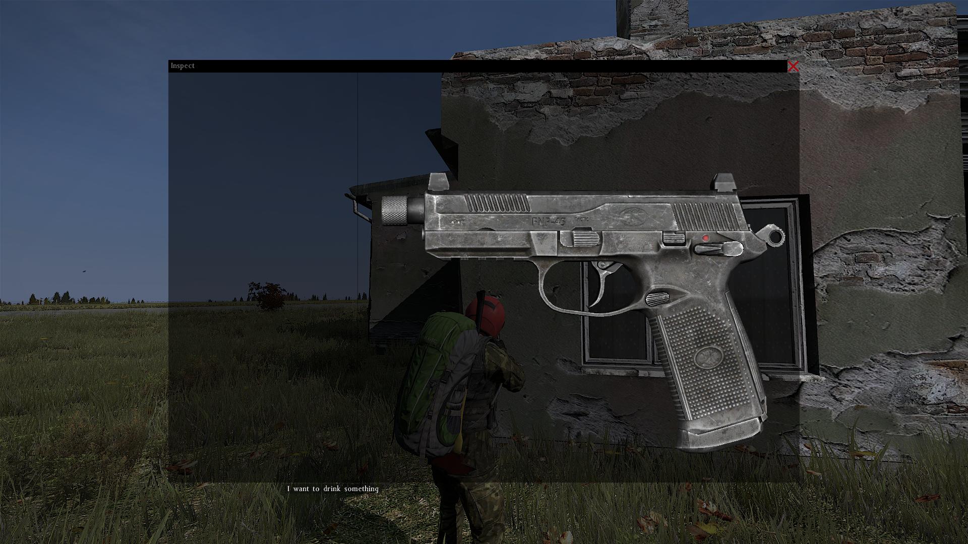 Dayz gun