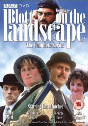 Blott on the Landscape DVD.jpg