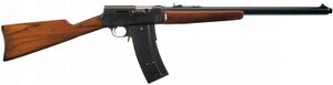 Remington Model 8 Extended Mag.jpg
