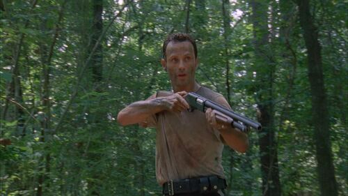 Talk:The Walking Dead (TV Series) - Internet Movie Firearms