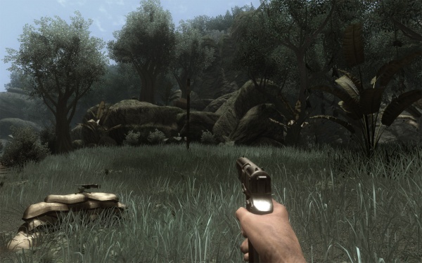 Far Cry 2 - Ultimate History of Video games