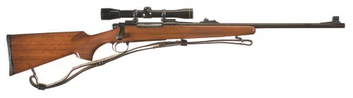Remington Model 700BDL With Iron Sights.jpg
