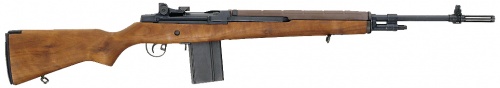 SFA M1A.jpg