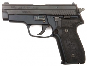 SIGP229.jpg