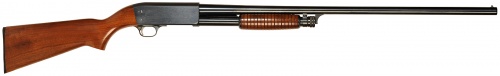 Ithaca37Featherllight.jpg