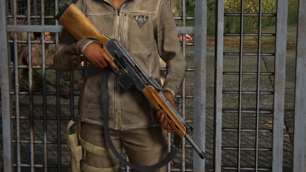 Assault rifle, The Last of Us Wiki