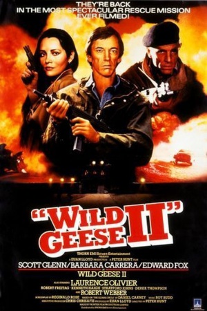 Wild Geese II Poster.jpg