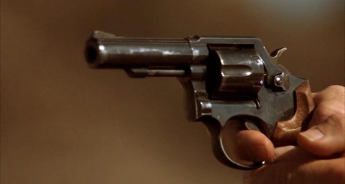 The hitcher 2Smith & Wesson Model 29 7.jpg