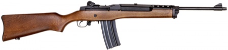 Ruger-Mini-14.jpg