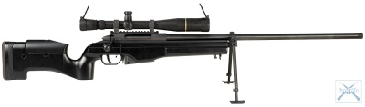 Sako-TRG-Rifle.jpg