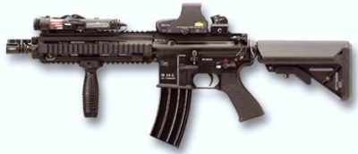 Hk416 10 inch left.jpg