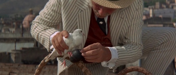 Pigeon-hand-grenade.jpg