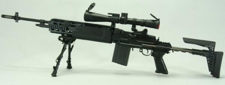 M14 with Sage stock and scope - 7.62x51mm