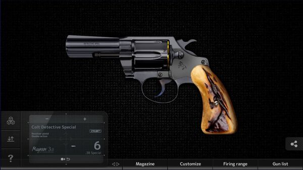 P7S Colt Detective Special (2).jpg